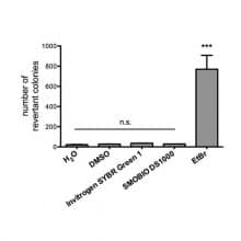 DS1000 Non-mutagenicity of FluoroStain